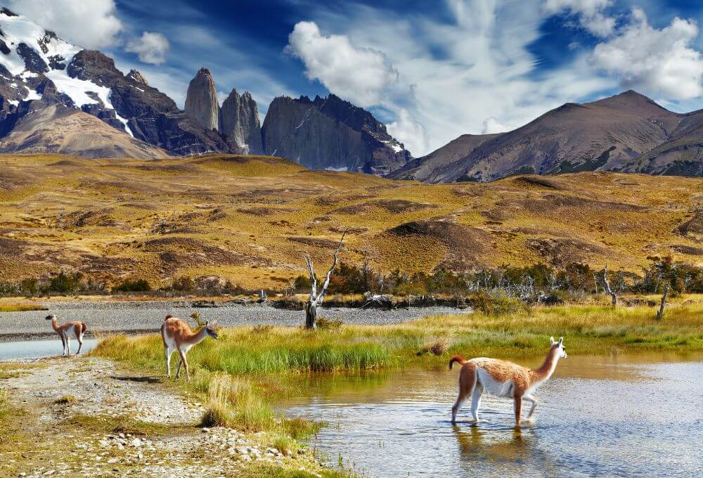 Adventure in Patagonia: Discover Argentina’s Wild Frontier of History and Culture